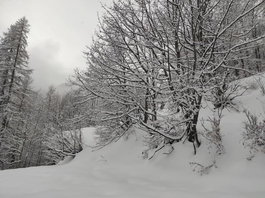 Appartement Vue Montagne, Cosy Et Chaleureux Briançon Exteriör bild